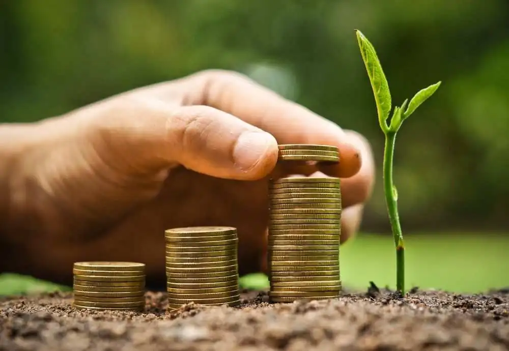 Carbon Credits